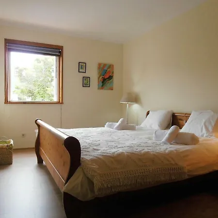 Apartamento Apartamento Duplex Com Vista Mar Santana (Minho)